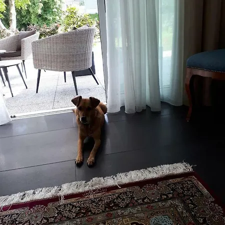 - Sie Werden Sich Hier Wohl Fuehlen