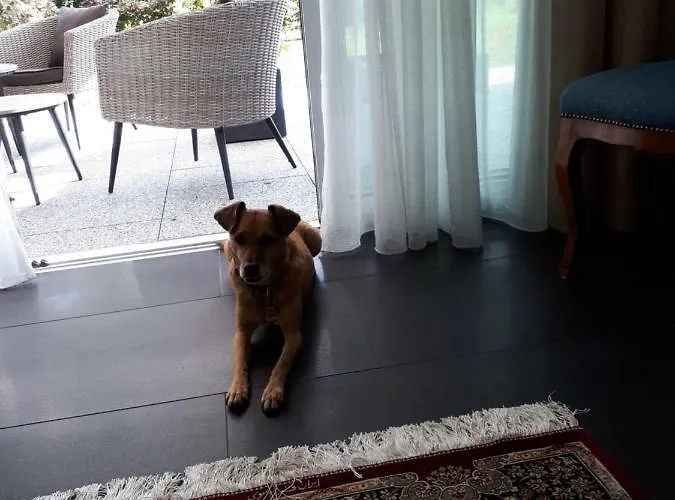 - Sie Werden Sich Hier Wohl Fuehlen